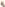 DialCap - DAILY - White